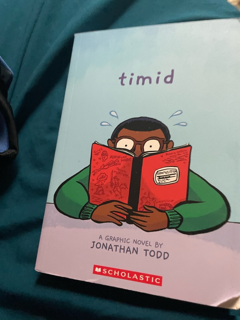 Scholastic Timid Graphic Novel - Blue & Red Cover